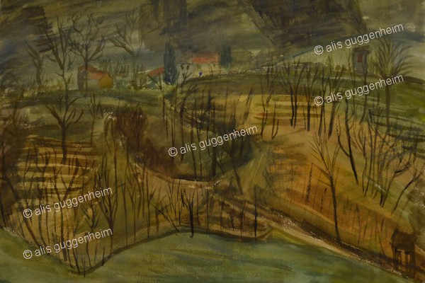 Landschaft im Tessin