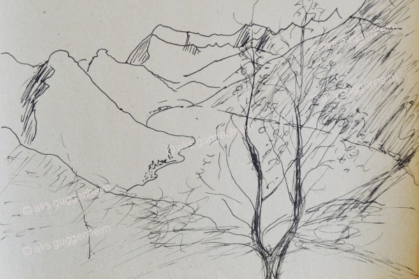 Hügelige Landschaft mit Baum