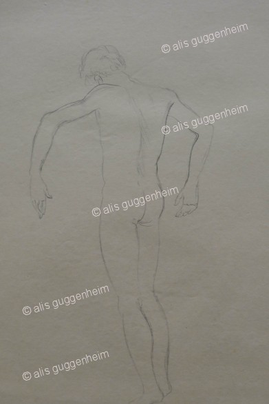 männlicher Akt Rückenansicht