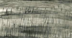 181