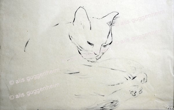 Katze