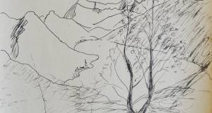 Hügelige Landschaft mit Baum