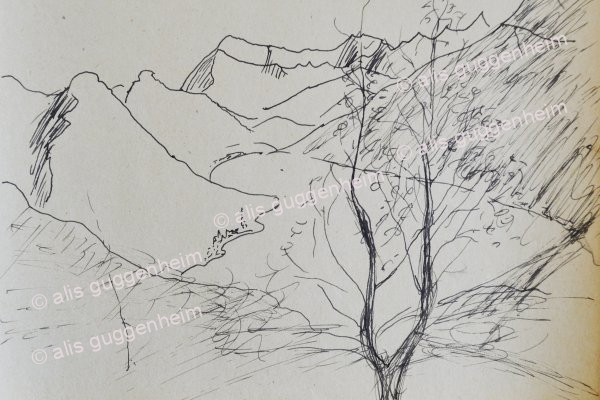 Hügelige Landschaft mit Baum