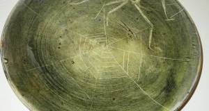 Spinne