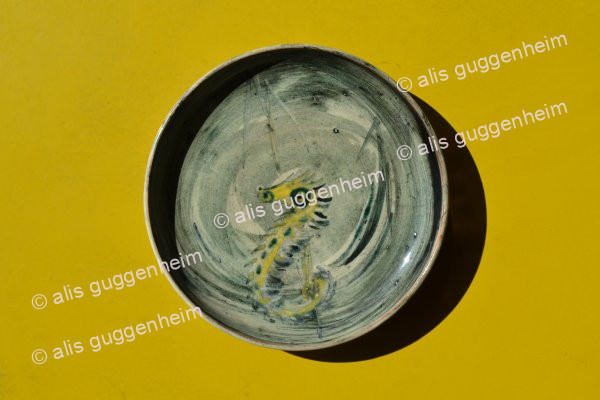 Seepferdchen