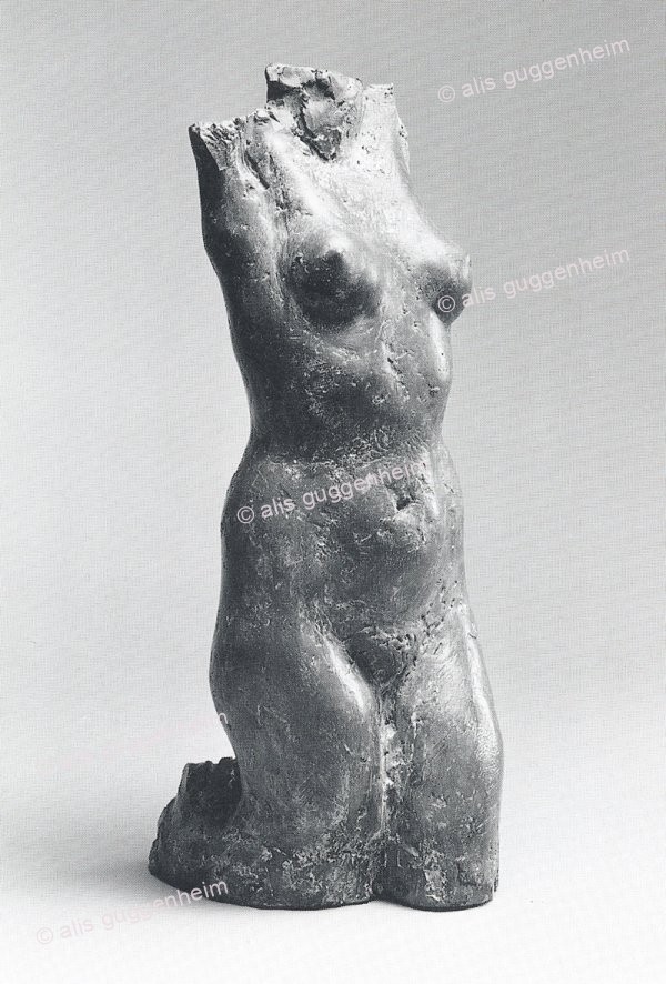 weiblicher Torso