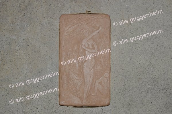 66
