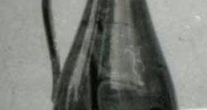 736