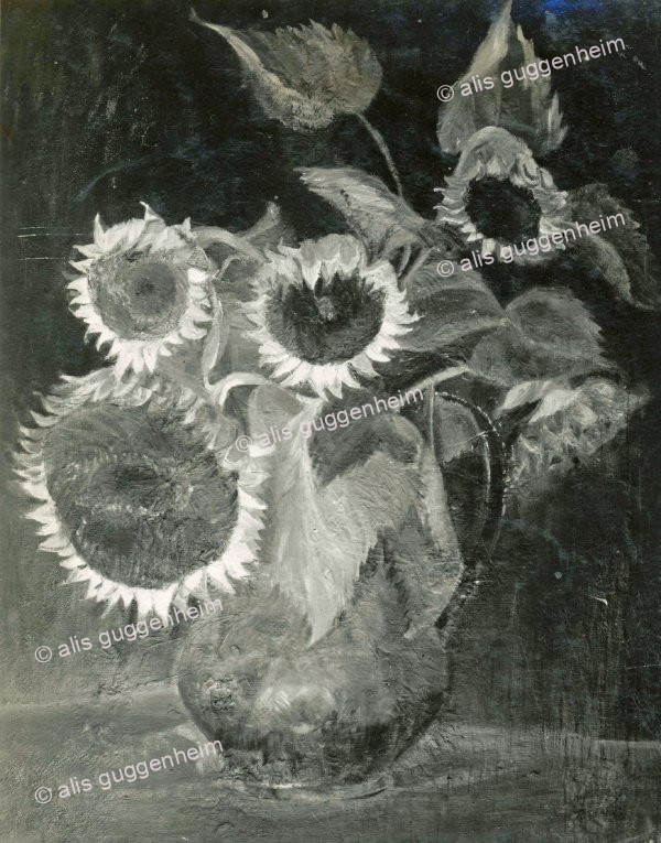 Sonnenblumen