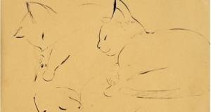 Katzenstudien