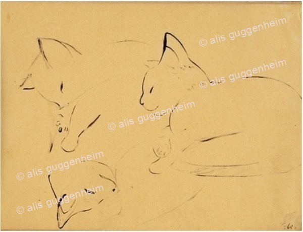 Katzenstudien